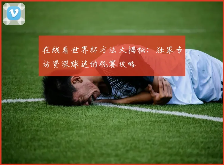在线看世界杯方法大揭秘：独家专访资深球迷的观赛攻略