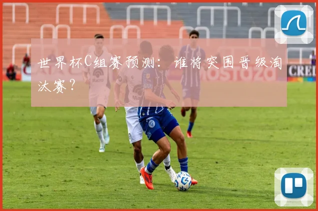 世界杯C组赛预测:谁将突围晋级淘汰赛?