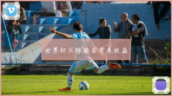 世界杯买球能否带来收益