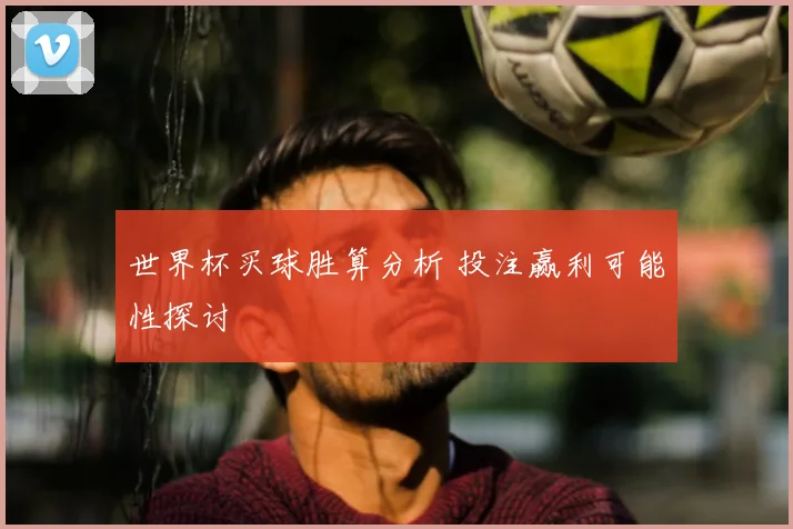 世界杯买球胜算分析 投注赢利可能性探讨