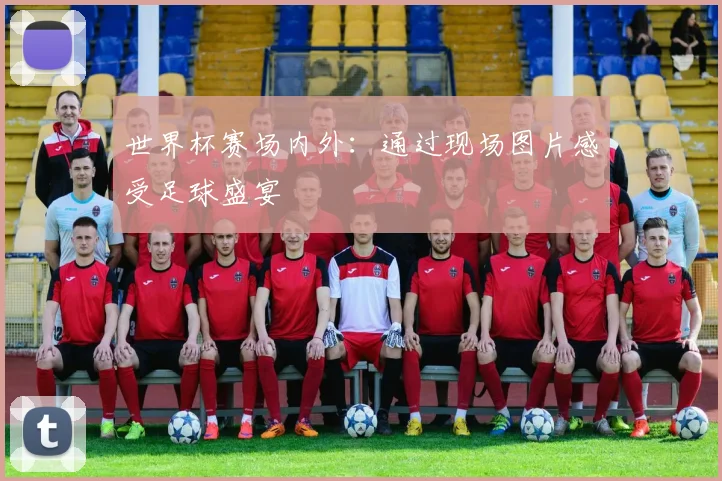 世界杯赛场内外：通过现场图片感受足球盛宴