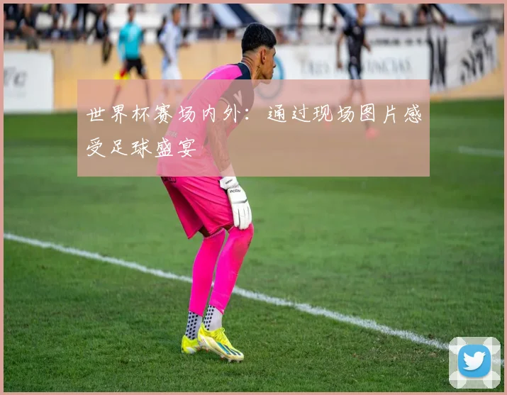 世界杯赛场内外：通过现场图片感受足球盛宴