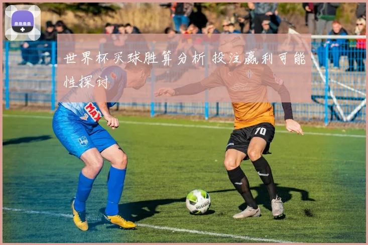 世界杯买球胜算分析 投注赢利可能性探讨