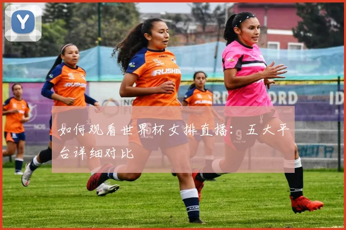 如何观看世界杯女排直播：五大平台详细对比